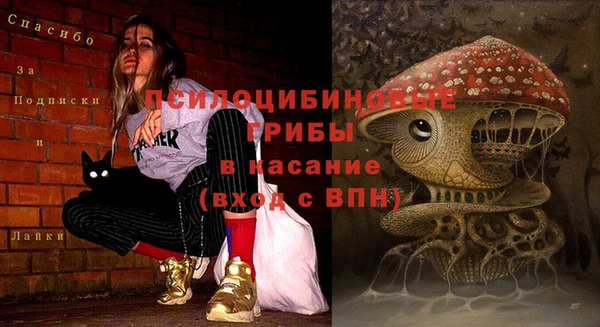 дживик Армянск