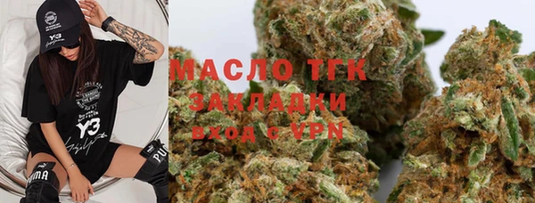 крисы Сатка