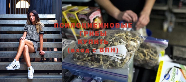 дживик Армянск