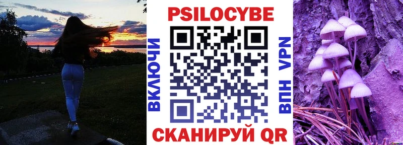 Псилоцибиновые грибы Cubensis Сорочинск