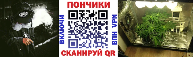 купить закладку  Сорочинск  Шишки марихуана конопля 